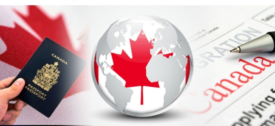 Business Immigration Canada, How it Works